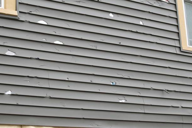 Affordable siding repair and maintenance services in Denair, CA